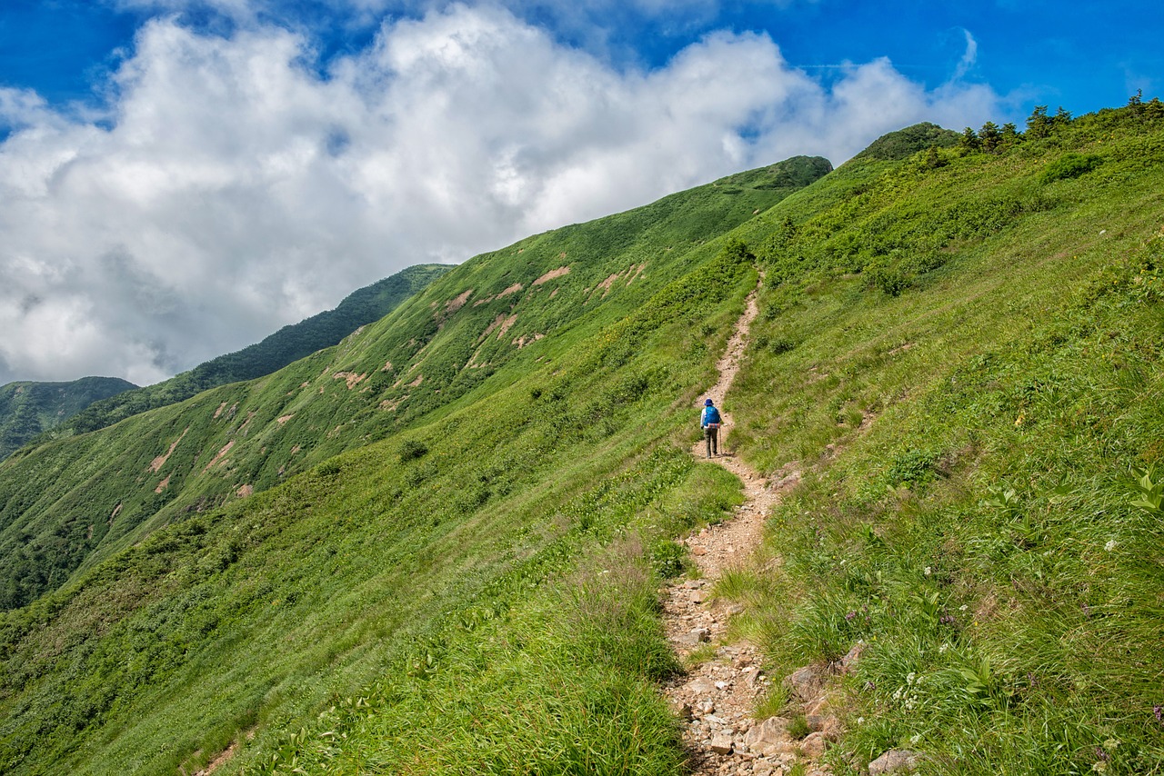 最新网红路的探索之旅，启示与发现
